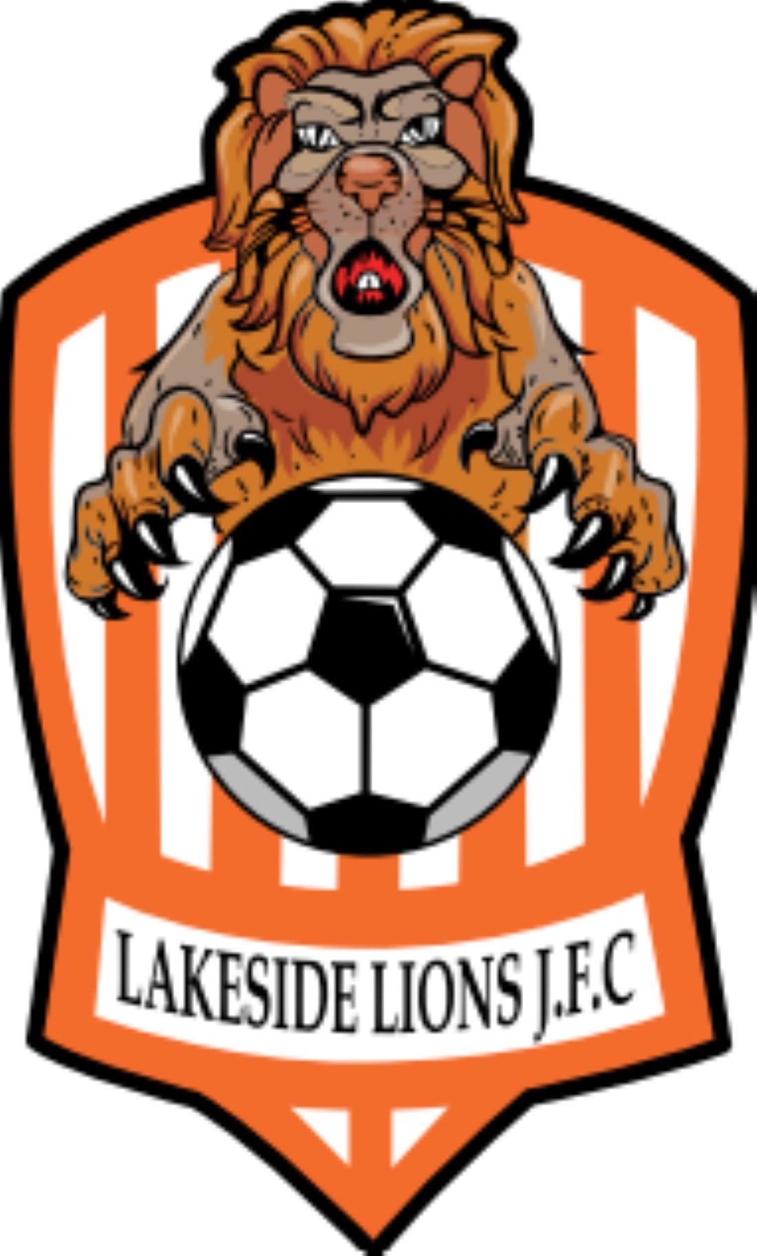 Lakeside Lions FC- No exchange of goods available as items are custom made