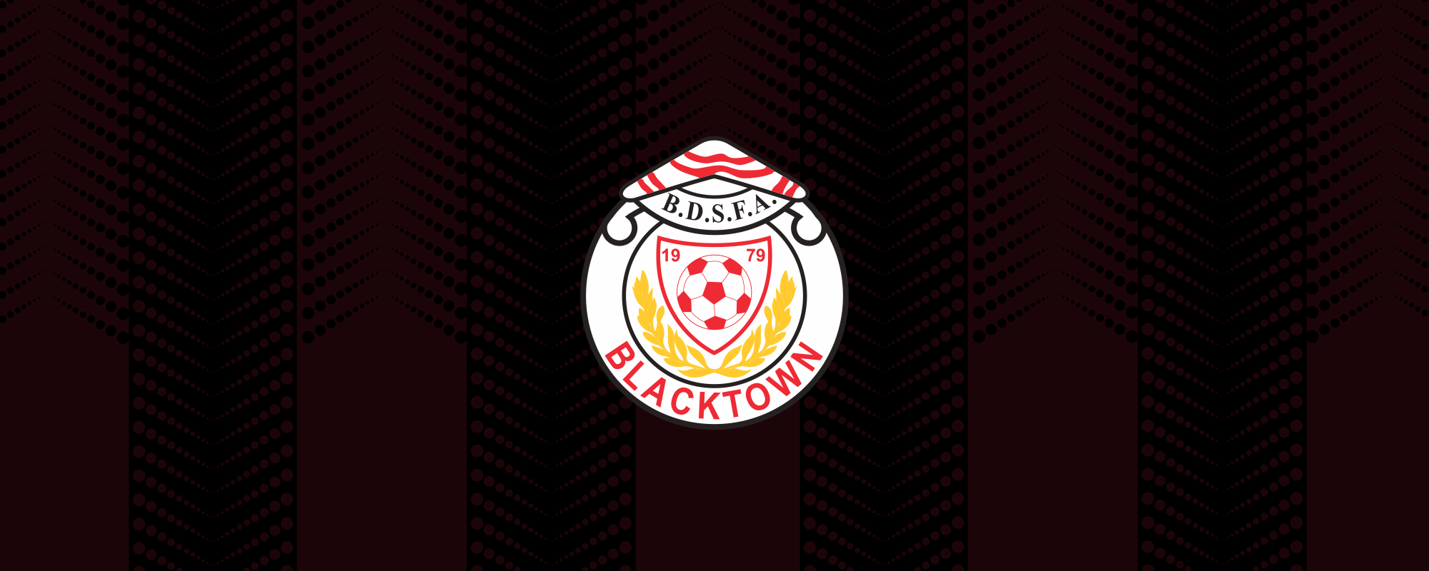 Blacktown District Soccer Football Association