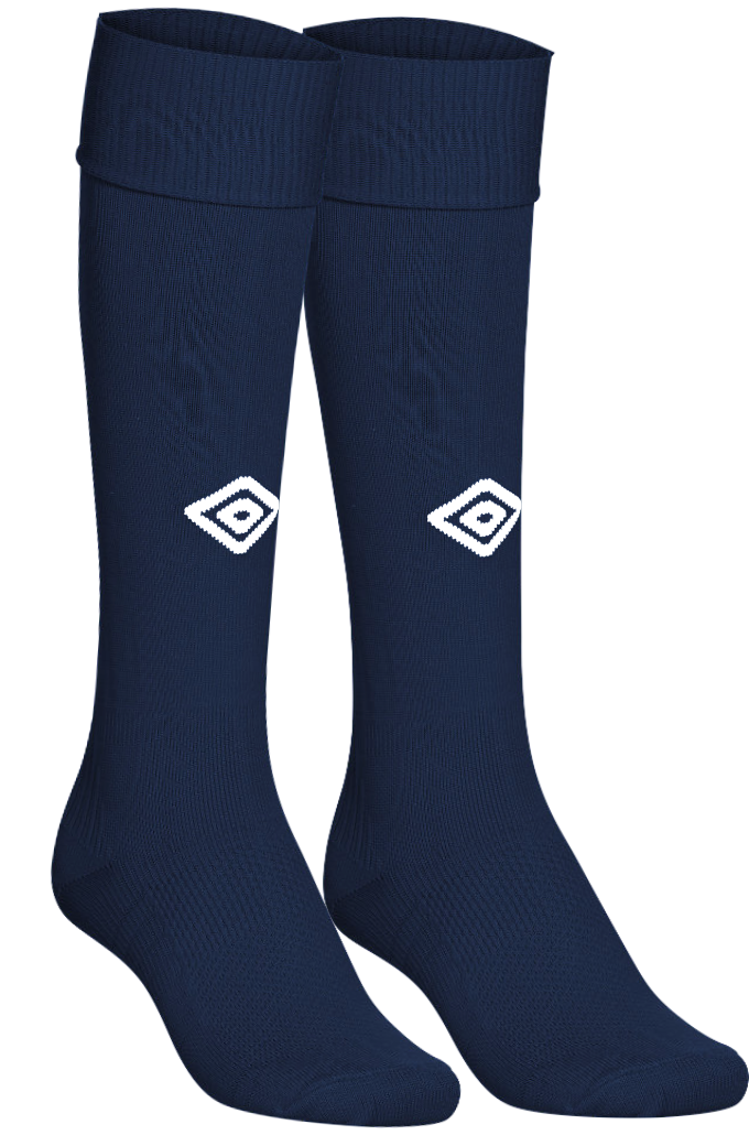 SIC Sock Selection